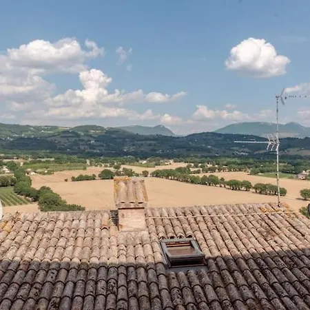Gabri's Spello